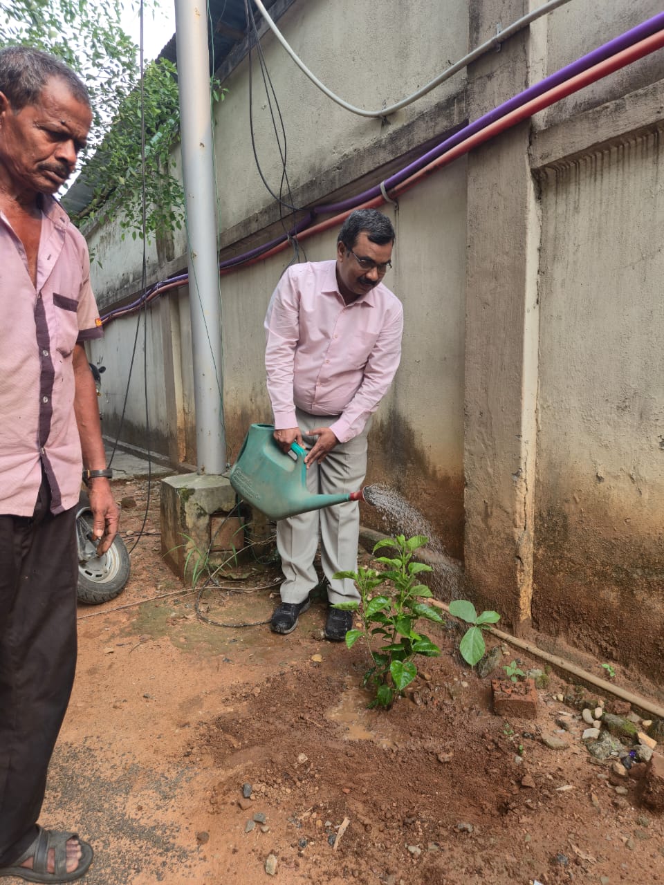 World Environment Day